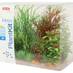 Plantkit jalaya nâ4 - ZOLUX