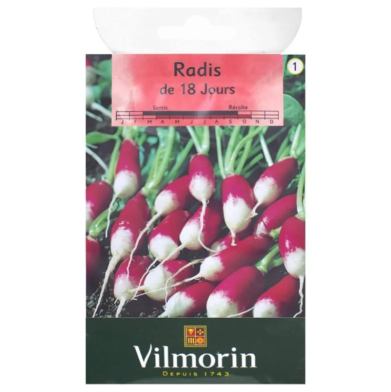 Radis de 18 jours - grand sachet