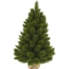 Sapin Camden burlap 90 cm vert - TRIUMPH TREE