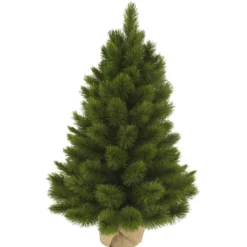 Sapin Camden burlap 90 cm vert - TRIUMPH TREE