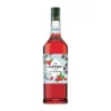 Sirop cranberry 1 L - GIFFARD
