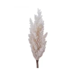 Tige fleurs pampa artificiel 13x8x88cm crème - EVERLANDS