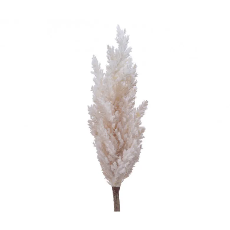 Tige fleurs pampa artificiel 13x8x88cm crème - EVERLANDS