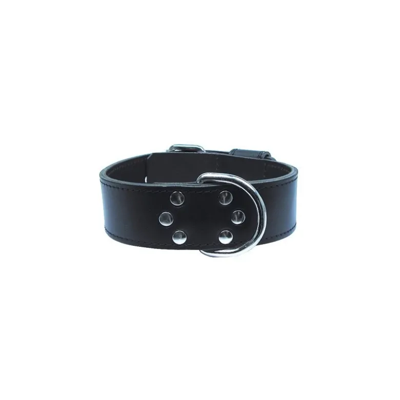 Zolux collier interv.nu t70 noir - ZOLUX