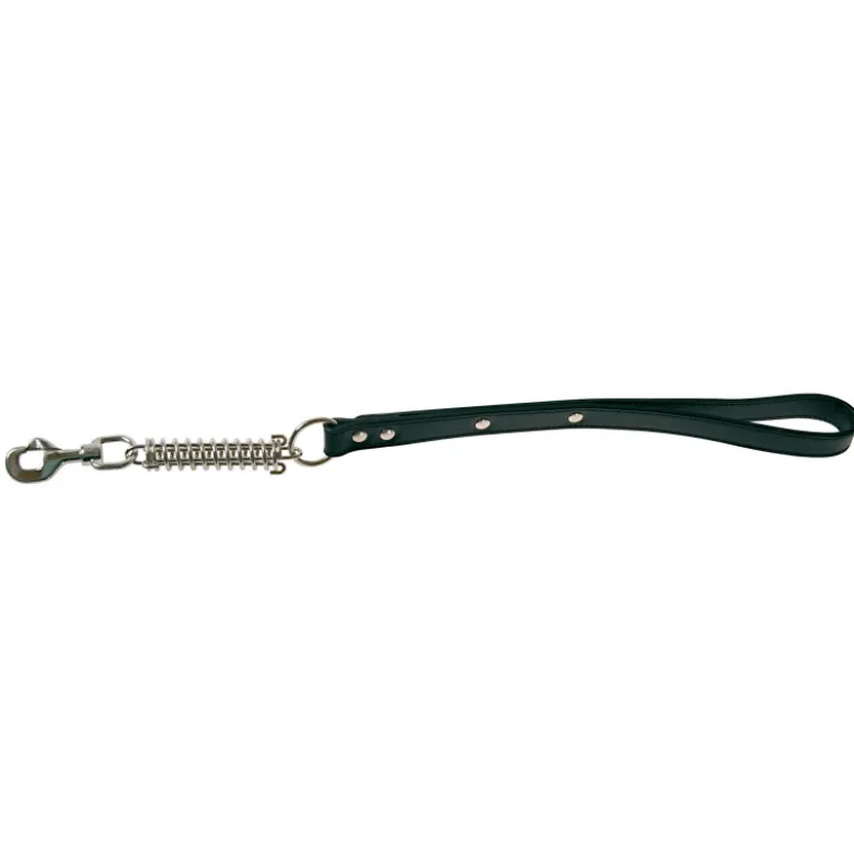 Zolux laisse ressort 25mm no 520230no - ZOLUX